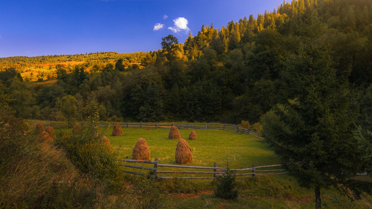 Are Jackets With Heating Properties Eco-Friendly?