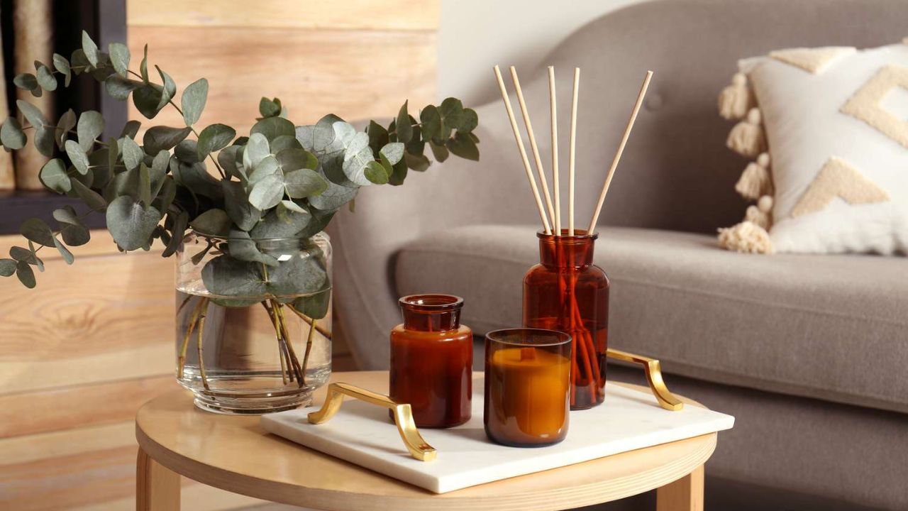 Small Touch, Big Impact: Elevate Your Space with a Simple Diffuser